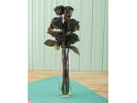 Black Roses - 6 Stems Vase